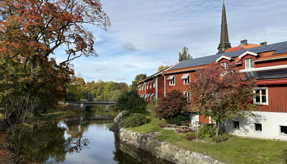 Morgonrapporten: Misstänkt granat visade sig vara hundleksak