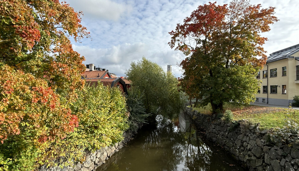 Morgonrapporten: Superhelg i Västerås med konserter, gymnastikshow, teater, konstbazar och bandycup