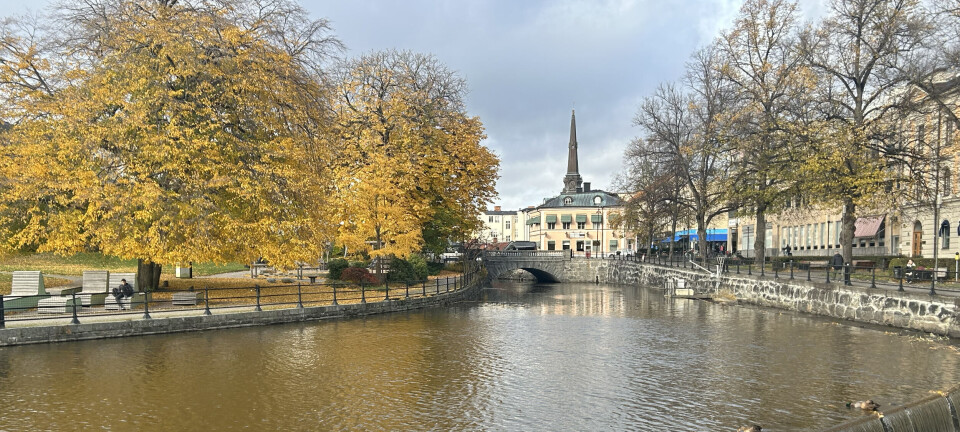 Morgonrapporten: Vafabmiljö nominerade som Årets avfallsbehandlare