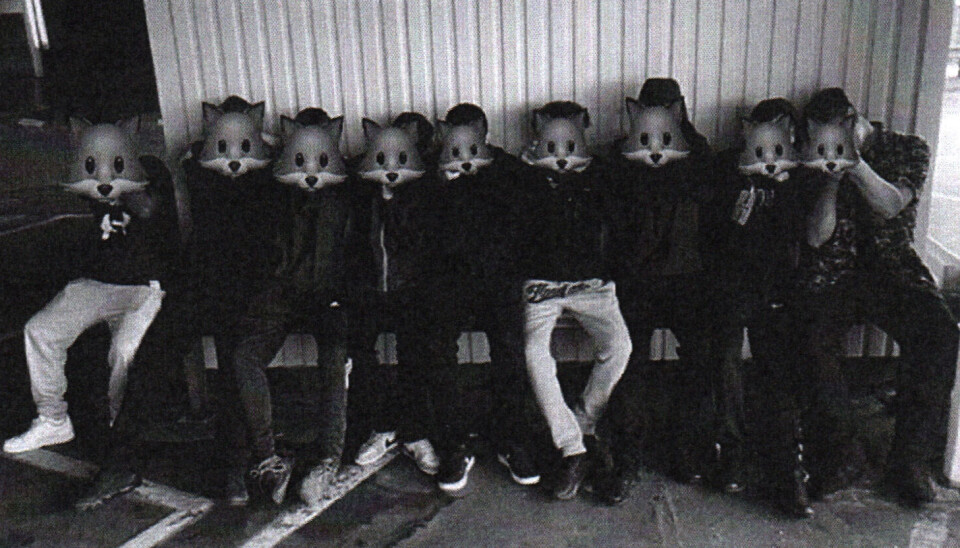 Nätverkar. Så kallade räv-emojis är ett sätt att visa lojalitet med det kriminella nätverket Foxtrot. Två av de misstänkta för mordet på Skallberget ska finnas på den här bilden. Nätverkar. Så kallade Räv-emojis är ett sätt att visa lojalitet med det kriminella nätverket Foxtrot. Två av de misstänkta finns på den här bilden.