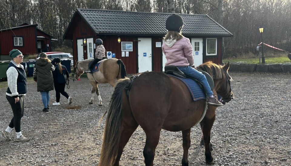 Hallsta Ridklubb ställde upp med gratis ponnyridning.