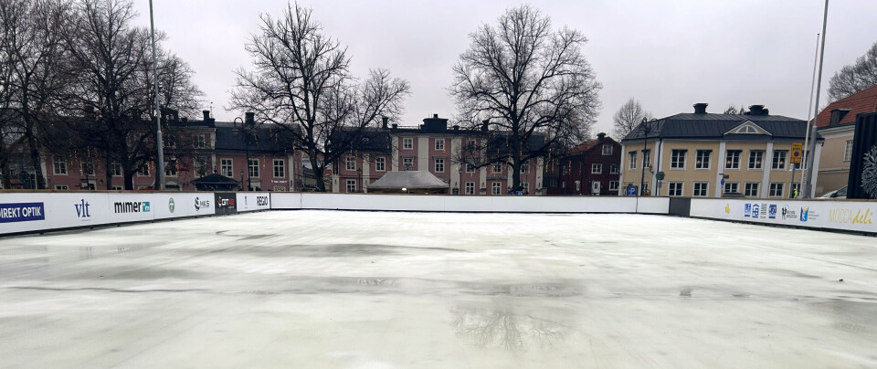Morgonrapporten: Efter nattens snöfall – nu väntas klart väder