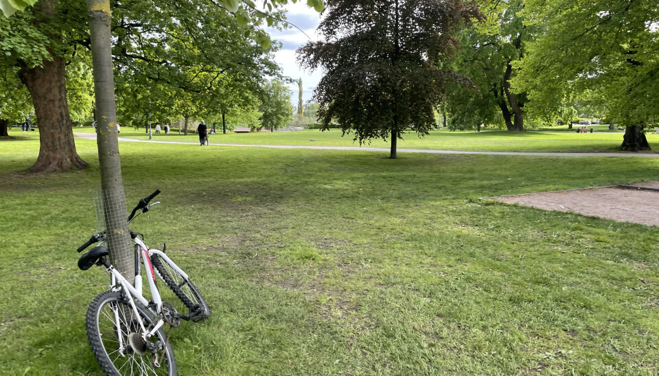 Moderaterna vill att ordningsvakternas område ska utvidgas till att även gälla Vasaparken.