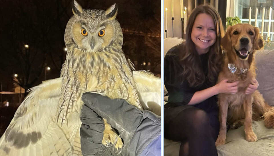 Helena Johansson säger att det var fint att märka andras engagemang och att hon är tacksam för all stöttning.