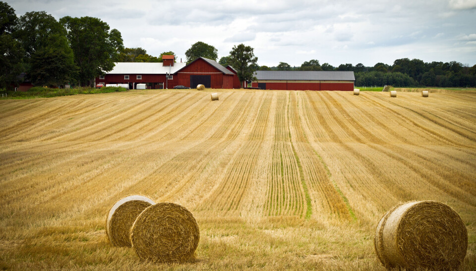 Kunskap för lantbrukare. Nu kan landsbygdsföretagare lära sig mer om Leanmetoden.
