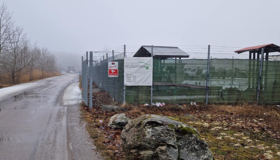 Slutplockat i Kungsåra: ”Ett naturligt steg framåt”