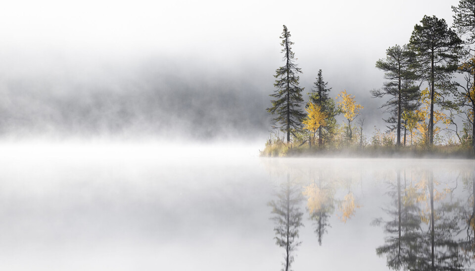 Föreläsningar. Under dagen kommer den finskboende naturfotografen Eeva Mäkinen att föreläsa.