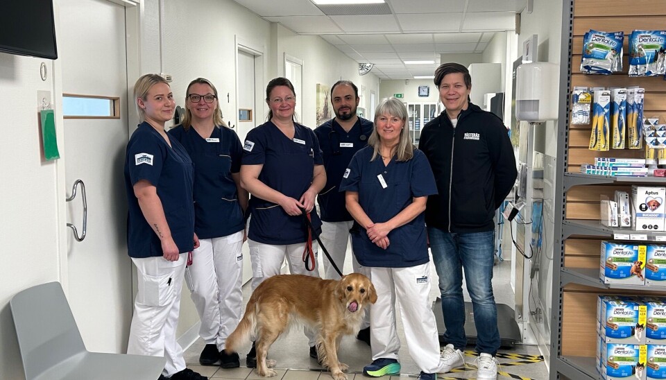 Eva Lund, klinikchef på Evedensia, med personal samt Mikko Nolvi från Västerås stadsmission var glada över att kunna hjälpa behövande människor med sina husdjur.