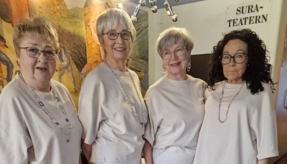 Arrangörer. Inger Nilsson, Birgitta Rydell, Sirpa Ström och Kristina Lidström.