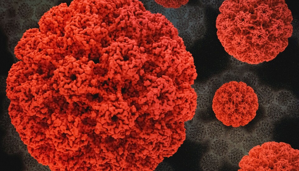 Hpv. Arkivbild. Hpv-virus. Arkivbild.