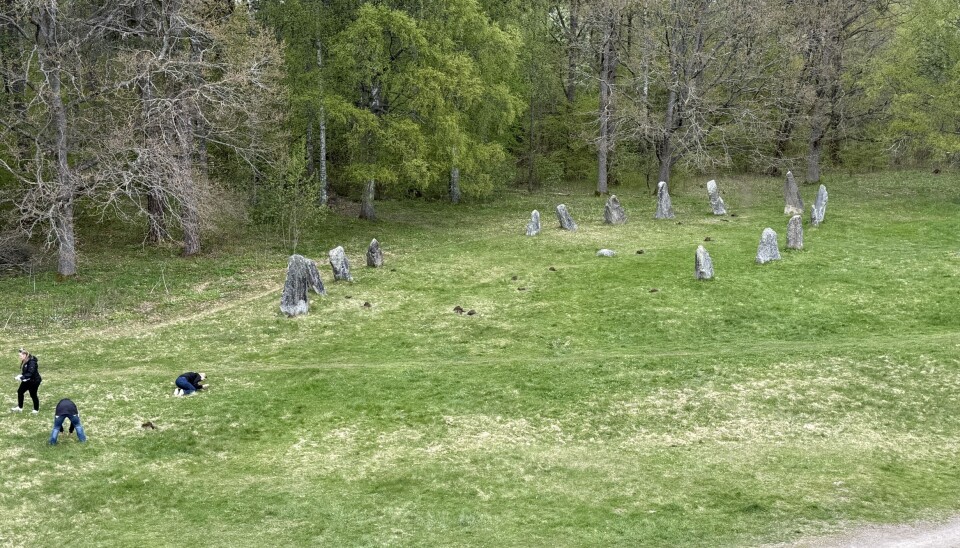Den misstänkta gravplundringen vid Anundshög utreds.