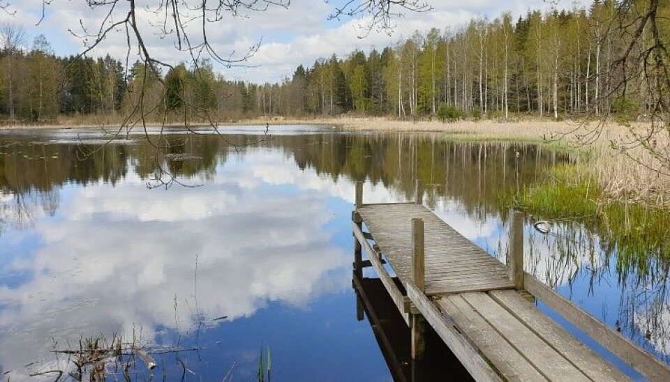 Naturreservat. Valstasjön är lätt att nå från Hallstahammar.