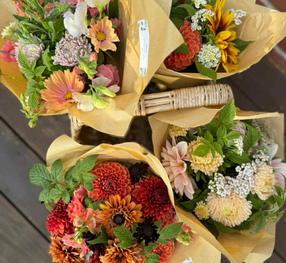 Praktfulla buketter. Hanna kombinerar vackra blommor med gröna detaljer och skapar praktfulla verk.