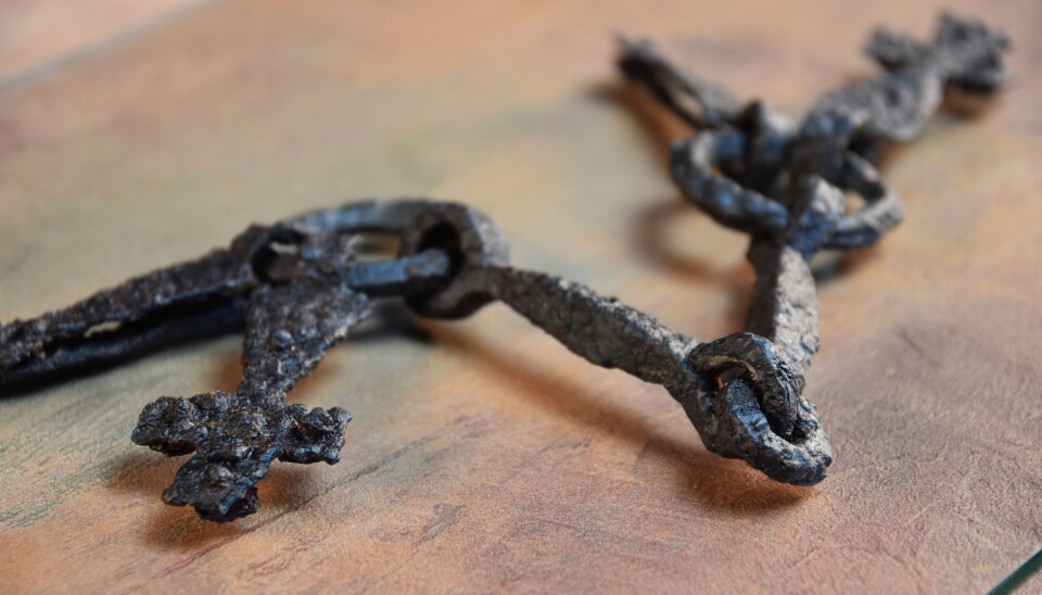 Från en svunnen tid. Här är ett av föremålen som grävdes fram, ett bett från järnåldern.