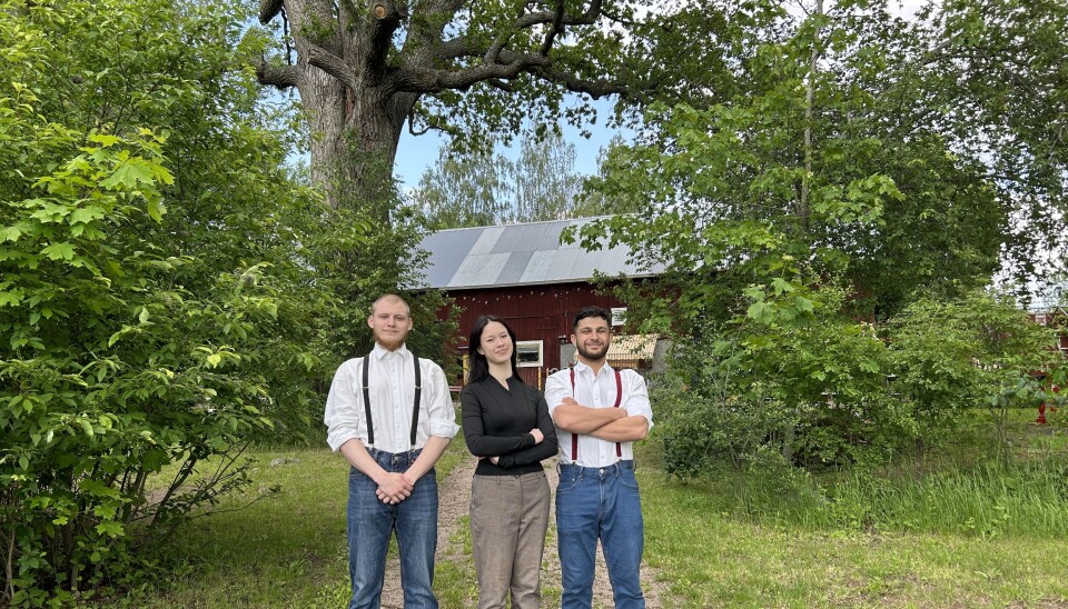 Naturnära. Nicklas, Yoanna och Las brinner alla tre för att fler ska kunna ta del av den fina miljön vid kaféet.