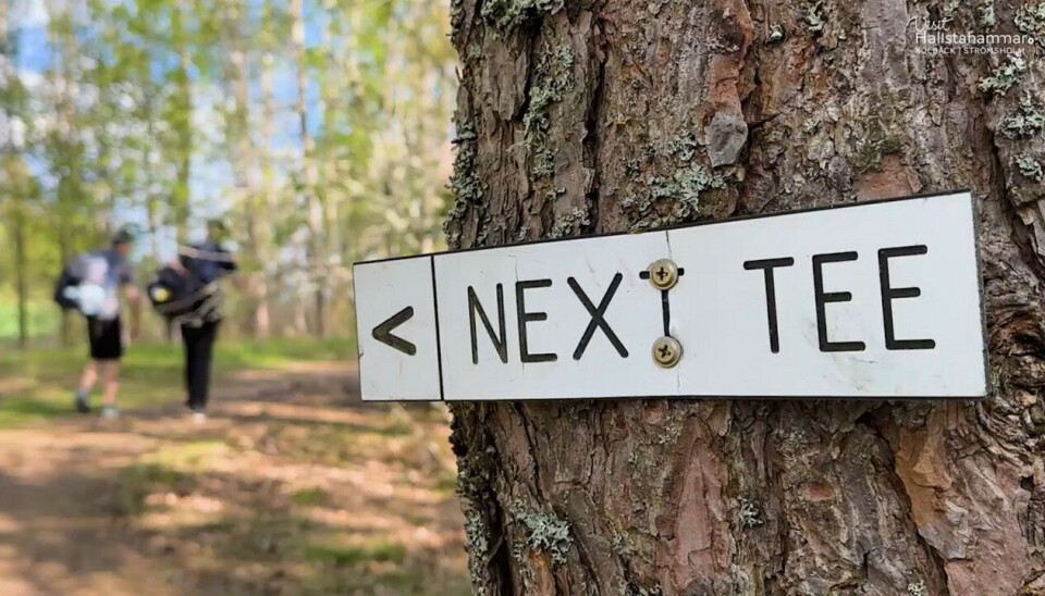 Träffsäkert smultronställe. Mikael, Hugo, Elvin och Daniel har discgolfbanan i Kolbäck som smultronställe i Hallstahammars kommun.