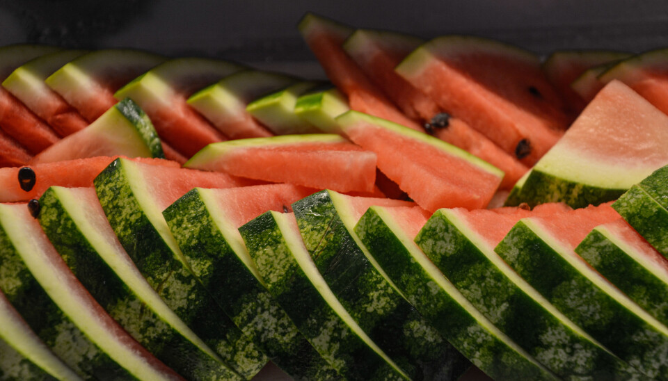 Vattenmelon är bra för att få i sig tillräckligt med vätska under varma sommardagar.