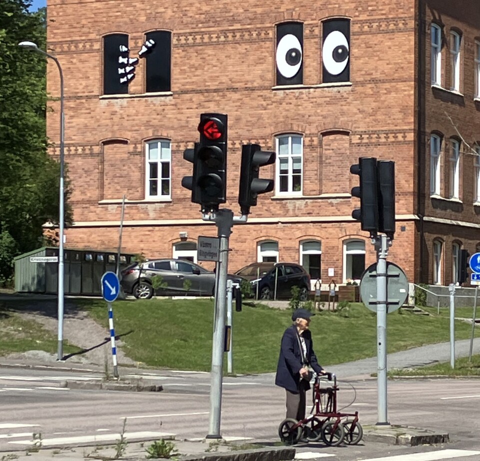 Ögon. Vem är det som är inburad i gamla Djäknebergsskolan?