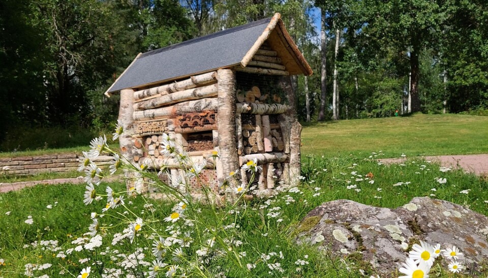 Grönskande omgivningar. Det nya insektshotellet har ett guldläge för pollinerande insekter.