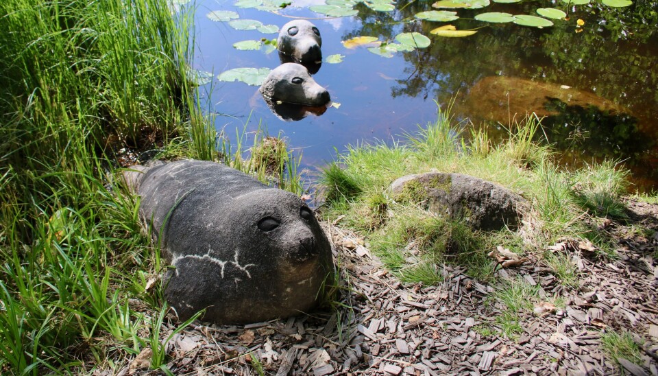 KNUBBIGA. ”Sälar” av Unna Katz. KNUBBIGA. ”Sälar” av Unna Katz.