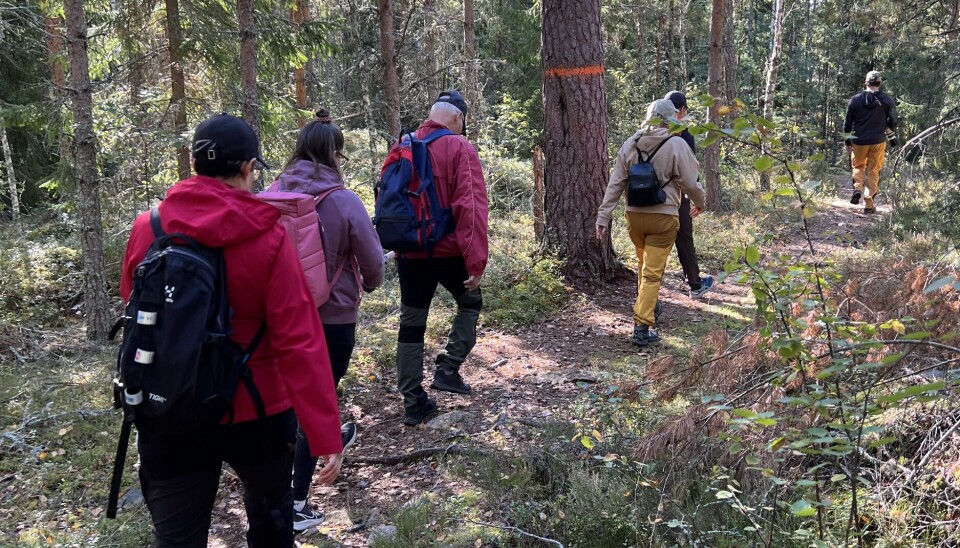 Sällskap i leden. Under Bruksledens dag vandrar många sträckan mellan Hallstahammar och Surahammar.