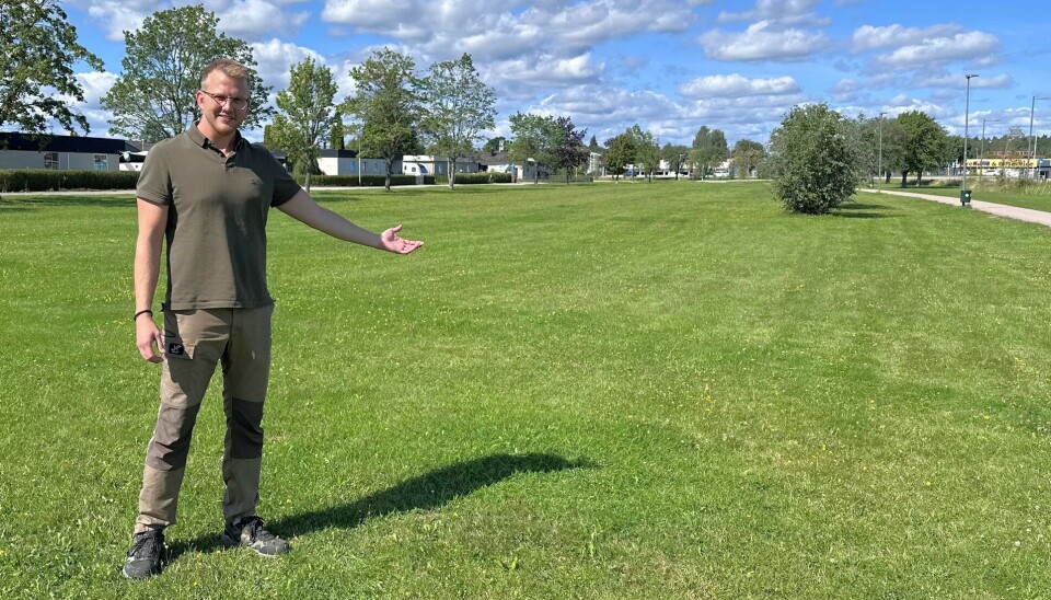 Grönskande framtid. På grönytan intill Brånstaleden i Hallstahammar ska träd planteras med start i slutet av oktober, berättar Thomas Wallin