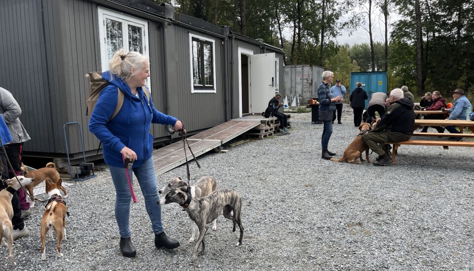 Hundägare. Ett gäng mattar och hussar med deras 'pälsklingar' kom på invigningen.
