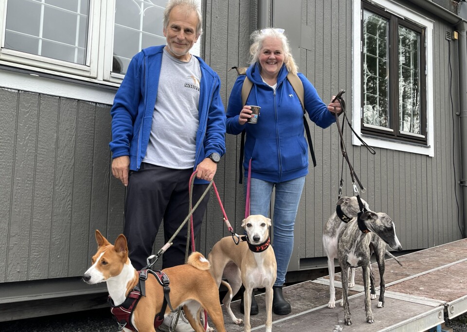 Mästare. Arne och Benita Miehe vill börja med agility och rallylydnad. Basenjin Wilda, längst till vänster, är nybliven svensk champion i utställning.