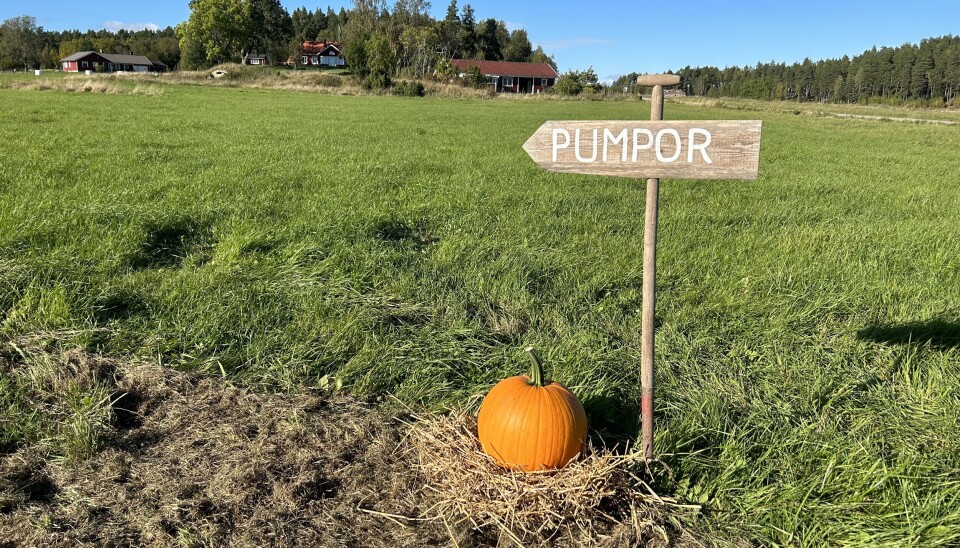 Utanför Irsta. På adressen Skysta 1, Västerås finns IrstaPumpan som kommer ha öppet på helger fram till Halloween.