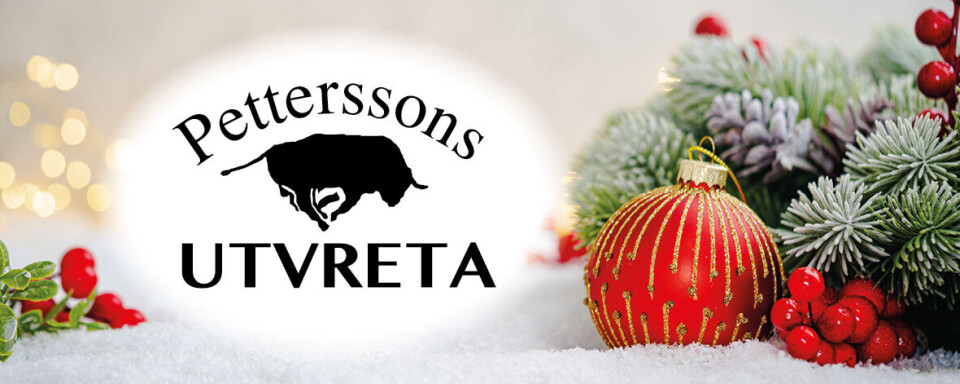 Här är Västerås bästa julbord