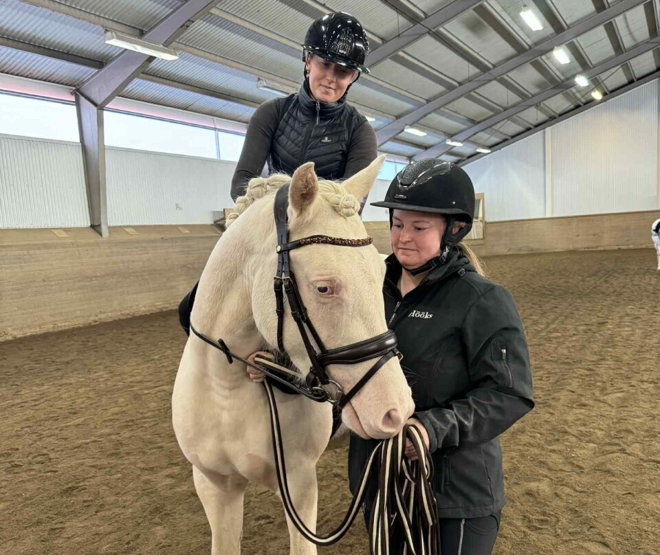 Willams moster Hanna tillsammans med Willams ponny Keevicii. Engla Greijer som sitter på hjälper till att rida in Keevicci som är 3 år.