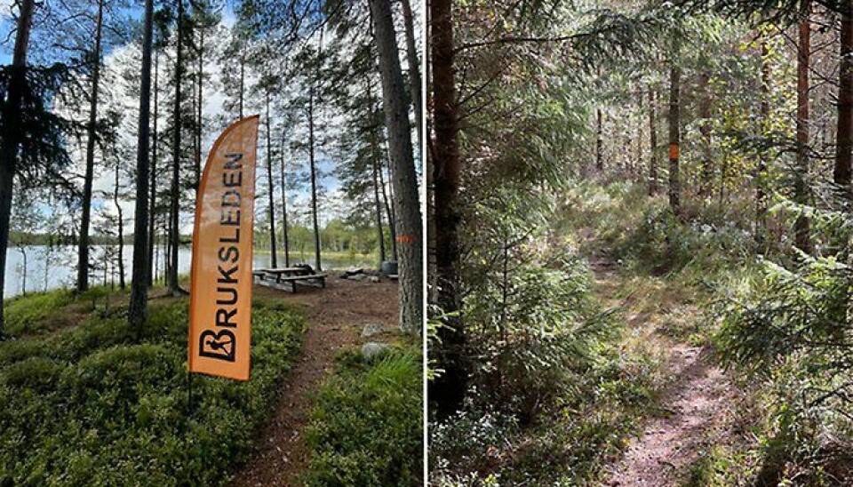 Bruksleden. Acktjärnsåsarnas naturreservat som invigdes den 13 september.