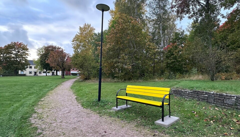 Vänskapsbänk. I Centrumparken lyser en av de nya vänskapsbänkarna upp med sin gula färg.