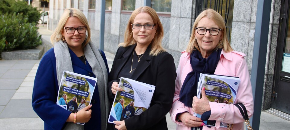 Lokala moderater i Västerås vill sänka skatten
