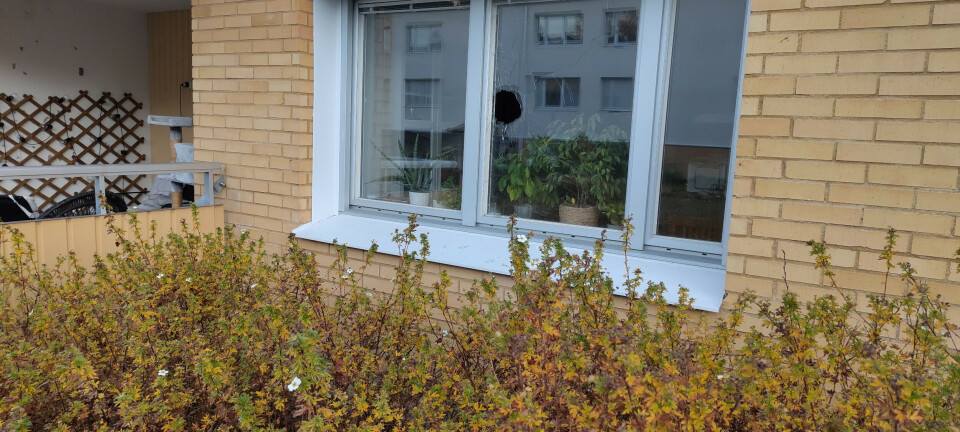 Man häktad för granat på Bjurhovda