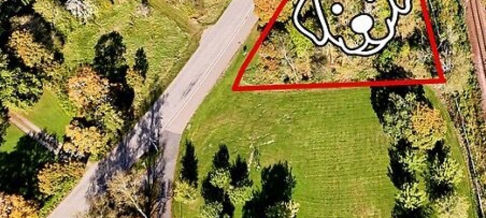 Hundar får ny lekplats