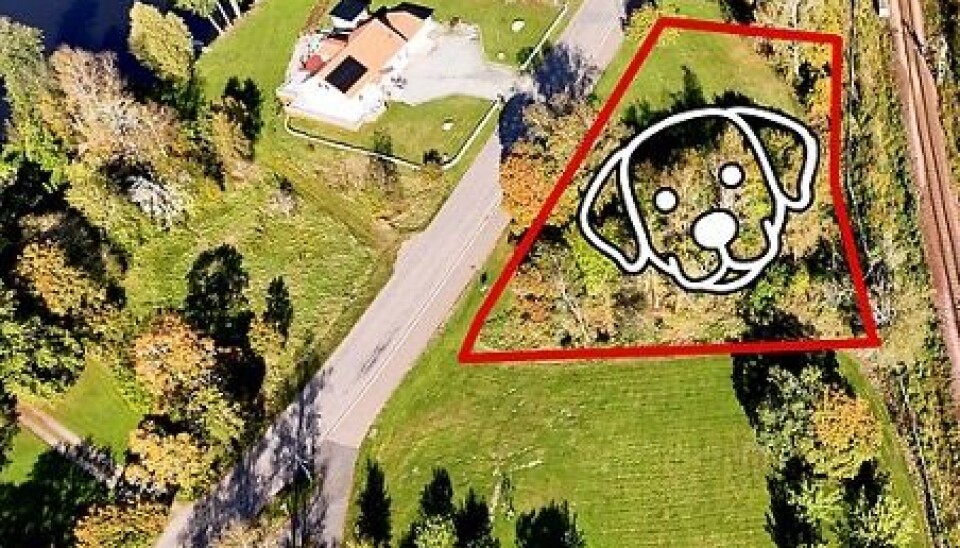 Plats. Här kommer hundparken att byggas, den väntas stå färdig i december i år.